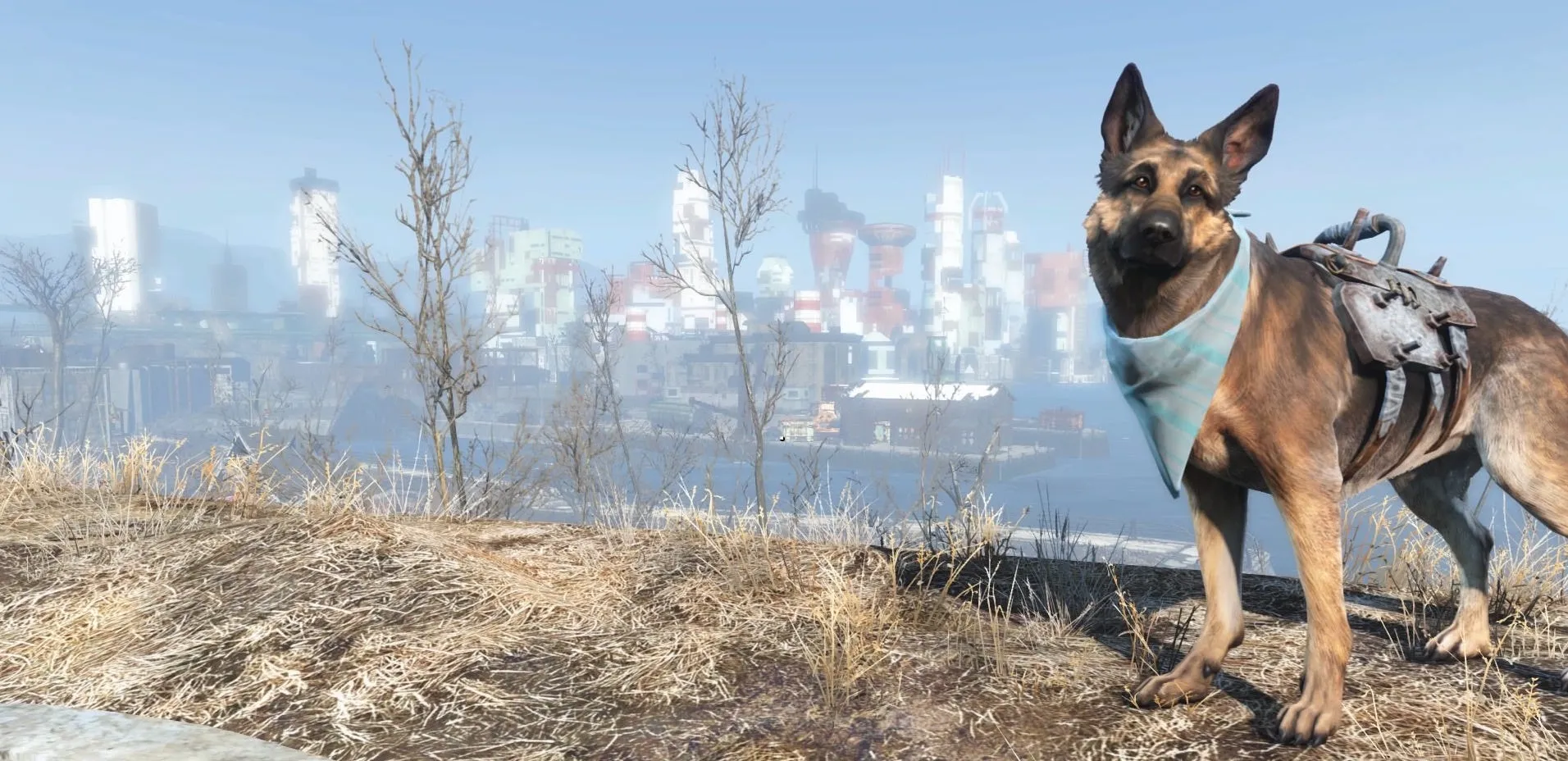 Dogmeat stands on a hilltop overlooking the hazy Boston skyline in the wasteland, wearing a bandana and saddlebags