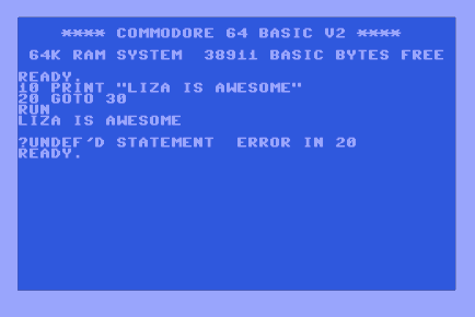 Commodore 64 BASIC screen: a two-line program runs and prints 'LIZA IS AWESOME' before hitting '?UNDEF'D STATEMENT ERROR IN 20' in light blue text on a blue background