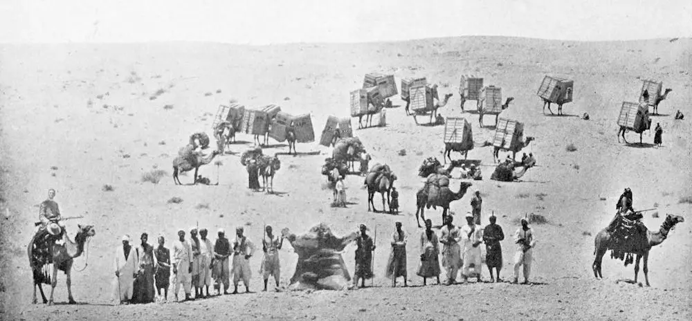 Ostriches transported in baskets on camelback. Hile appears on the left; the team in the center poses with an animal hide. I suspect this photo to be a composite of several from the 1910 poaching expedition.